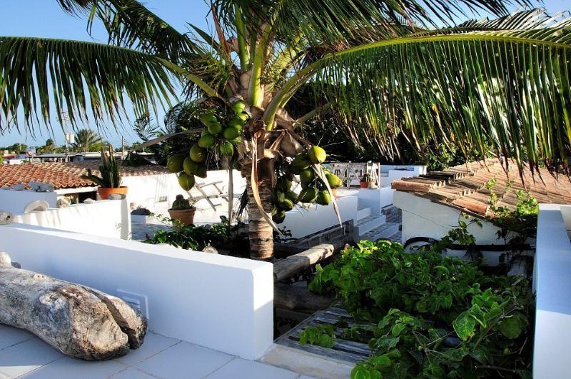 Posada Malibu Los Roques Exterior photo